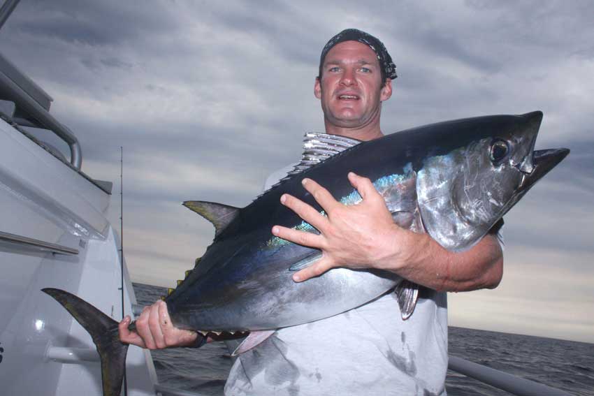 Bluefin Tuna fishing in South Australia