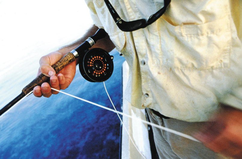 Fly fishing in northern Australia
