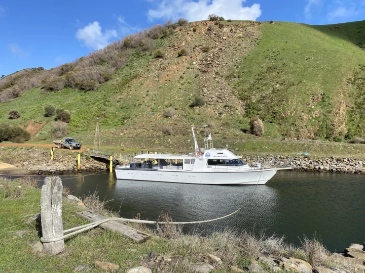 The Ultimate Kangaroo Island Fishing Safari